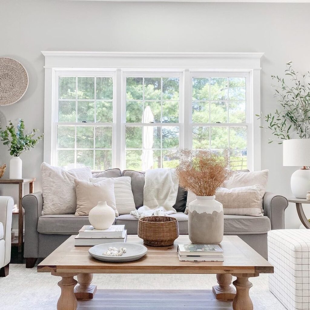 Gray Living Room Ideas